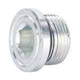 MAGNETIC PLUG