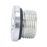 MAGNETIC PLUG