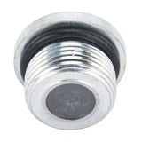 MAGNETIC PLUG