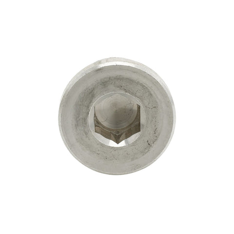 MAGNETIC PLUG