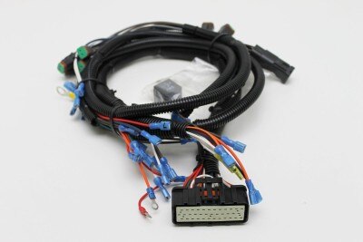 HARNESS, ECU, GR ANSI
