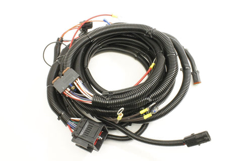 HARNESS,FORD ENGINE,EFI,2004