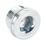 MAGNETIC PLUG
