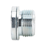 MAGNETIC PLUG
