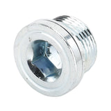 MAGNETIC PLUG