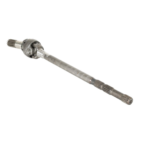 JOINT