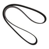 FAN BELT, SERP., PERKINS