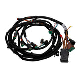 HARNESS,SECONDARY MANIFOLD