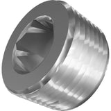 STEEL PLUG HEX SOCKET, .750 NPT