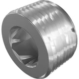 STEEL PLUG HEX SOCKET, .750 NPT
