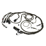 HARNESS,ENGINE ECM,TCD3.6,10K