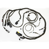 HARNESS,ENGINE ECM,TCD3.6,10K