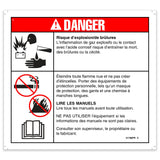 DECAL,DANGER,BATTERY SAFETY,FRENCH