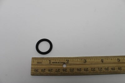 O-RING, DO1 VALVE
