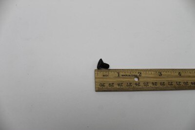 SCREW,FHS,1/4-20 X .25 NYLOCK