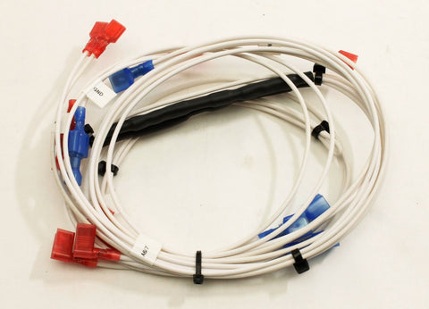 HARNESS, ALARM ACCESSORY