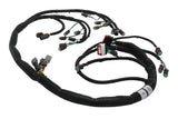 HARNESS,DRIVE CHASSIS