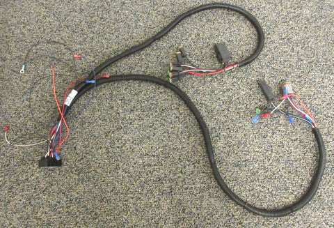 HARNESS ASSY,  MAIN