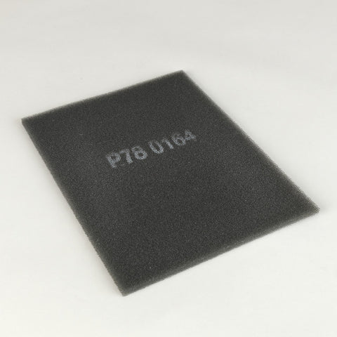 AIR FILTER, PRIMARY SPECIAL