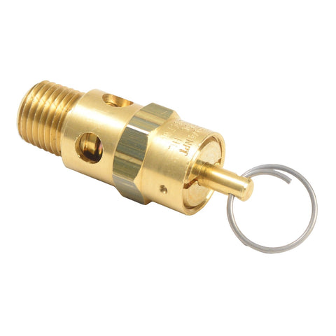 Graco | 113498 Safety Valve