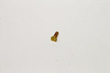 Terex : MACHINE SCREW,BRASS Part No. 44586TU